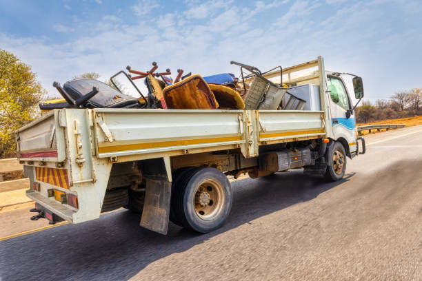 Yard Cleanup Services in Morrisonville, IL