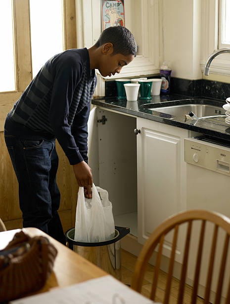 Best Professional Junk Removal  in Morrisonvle, IL